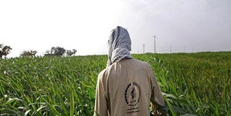 اجرای طرح بسیج همگام با کشاورز در کهگیلویه و بویراحمد