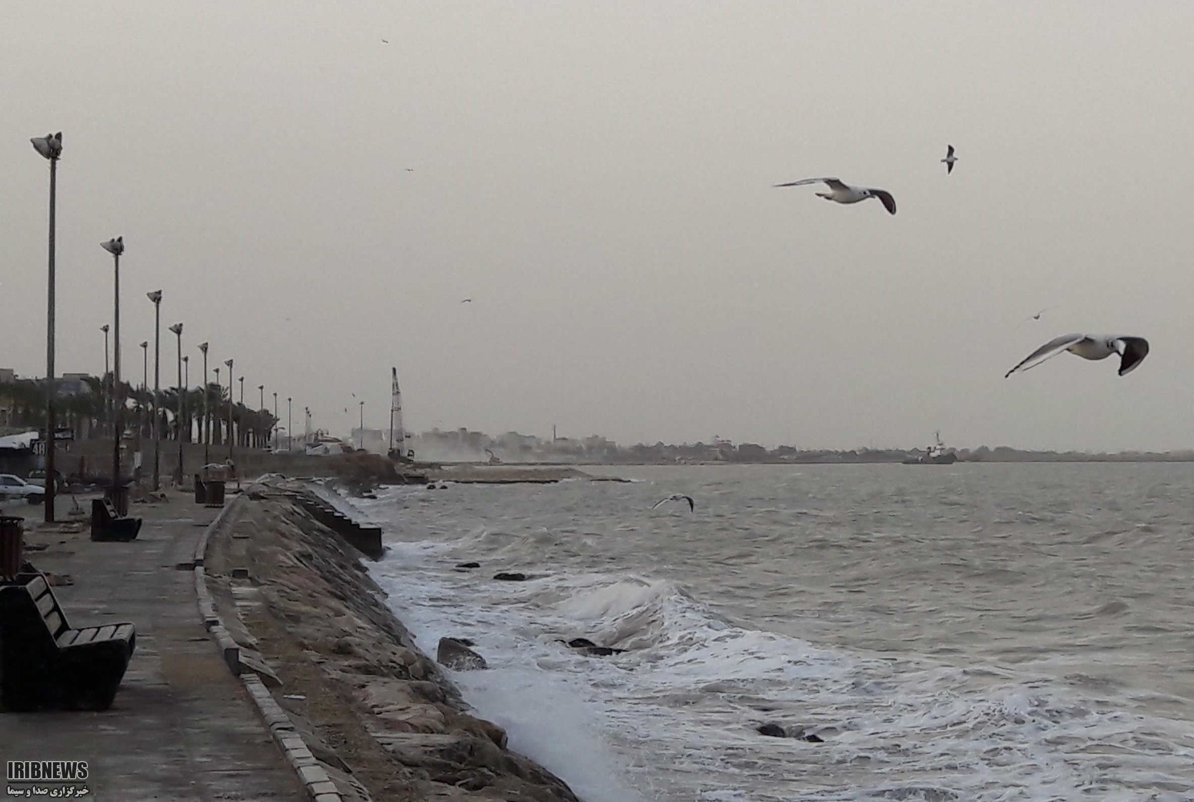 پیش‌بینی باد و باران و گرد و خاک برای بوشهر