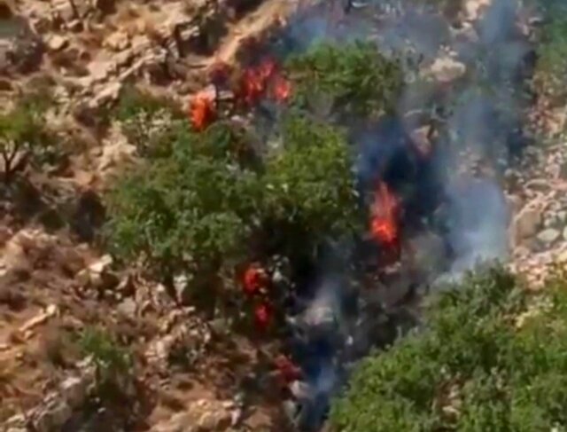 آتش‌سوزی در جنگل‌ها و مراتع منطقه شیخ هابیل کهگیلویه