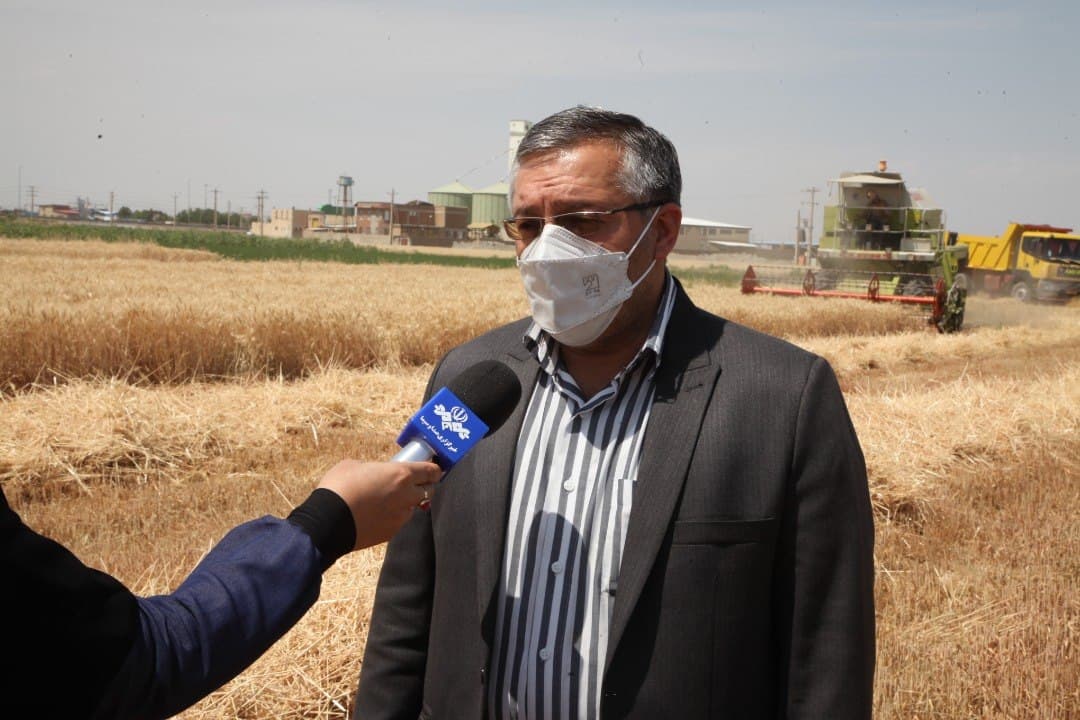 خرید تضمینی بیش از ۲۲۴ هزار تن گندم در آذربایجان غربی