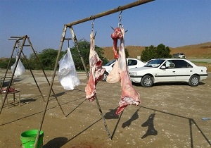 جمع آوری ۵ تن گوشت ذبح غیر مجاز در کرمانشاه
