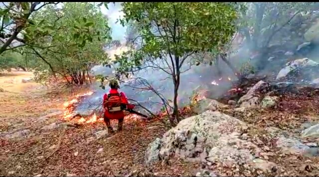 مهار آتش در جنگل‌های «کوه شره» کهگیلویه