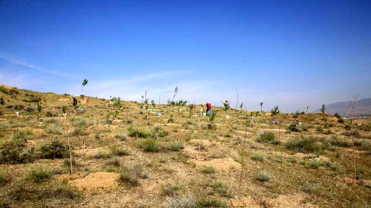 آبیاری اراضی باغستان با آب‌های زیرسطحی؛ جرای ۷هزار متر خط انتقال آب