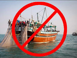 ممنوعیت صید ماهی شیر گوشگیر در خوزستان