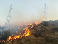 مهار آتش در کوهستان دراک شیراز