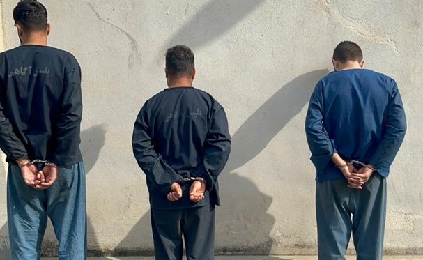 دستگیری باند سارق حرفه‌ای در بویراحمد