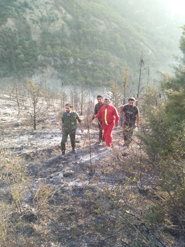 خاموشی کامل آتش در جنگل های سوزنی برگ رامیان