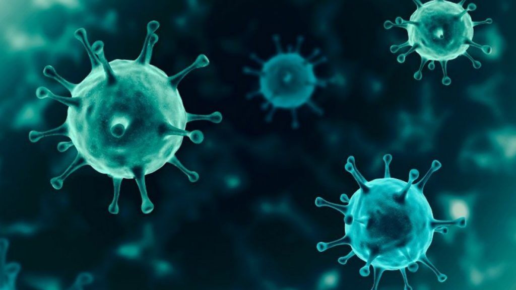 شناسایی ۳۸۸ مورد جدید مبتلا به کرونا ویروس در ایلام