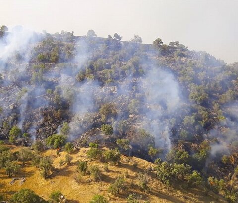 آتش سوزی در جنگل‌های کوه سیاه کهگیلویه