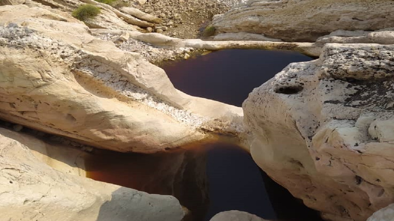 پر آب شدن  آبشخور‌های منطقه کوه سیاه دشتستان