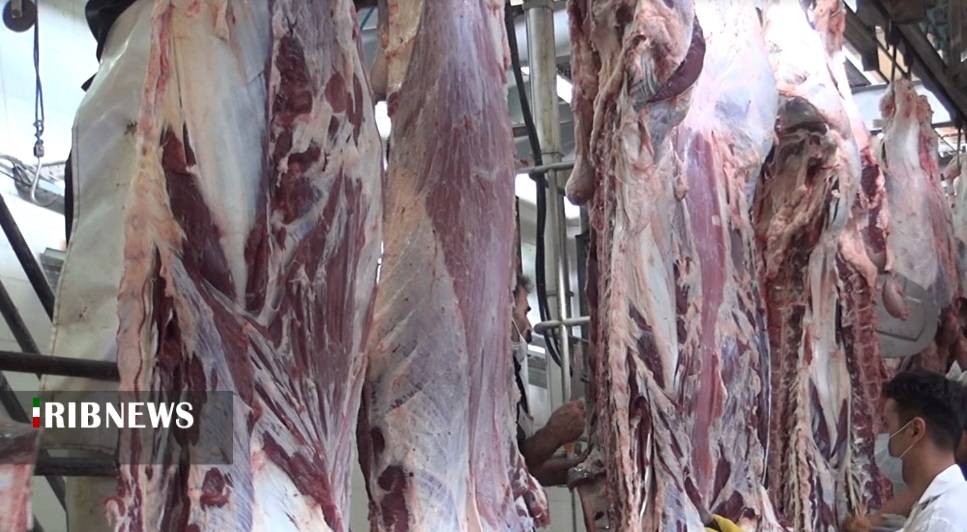 توزیع گوشت در بین نیازمندان کردستان