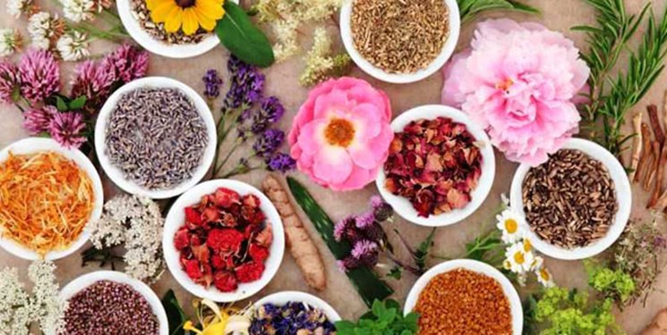 کِشت ۷۵ درصد از گونه‌های گیاهان دارویی ایران در استان اصفهان