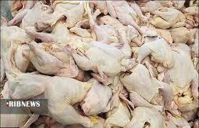 کشف ۲۳۴ کیلوگرم مرغ فاسد در اسدآباد