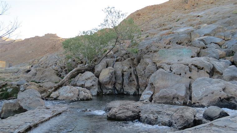 ساماندهی مجموعه غربالبیز مهریز