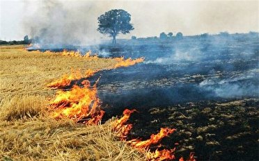 عوارض آتش زدن بقایا ی محصولات کشاورزی