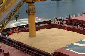 پهلوگیری دو فروند کشتی حامل گندم در بندر امام خمینی