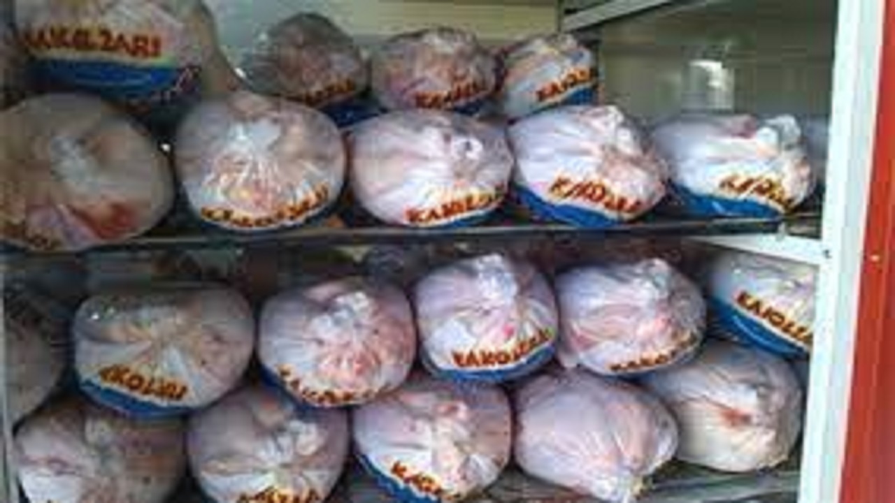 عرضه روزانه ۵۰ تن گوشت مرغ منجمد در البرز