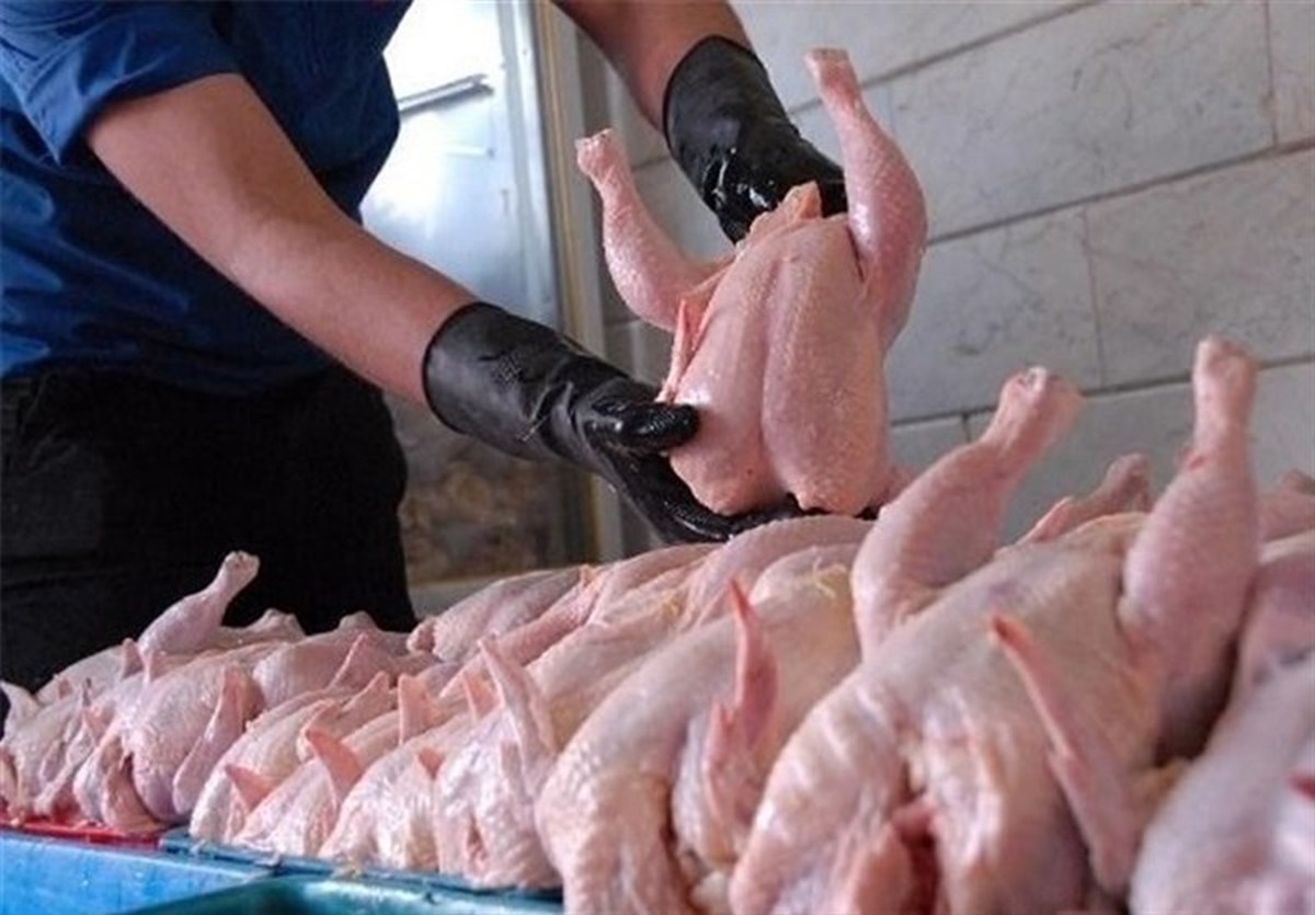متعادل شدن عرضه گوشت مرغ در کرمانشاه تا ۱۵ روز آینده