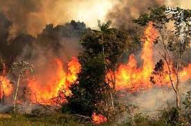 ادامه آتش سوزی در جنگل های اروپا
