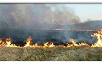 وقوع آتش سوزی در ۲۷۰ هکتار از مراتع آذربایجان غربی