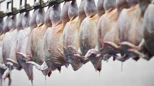 کشتار روزانه مرغ در کشتارگاه دزفول