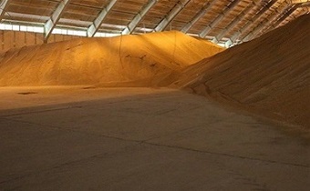 کشف ۱۵۰ تن گندم قاچاق در زنجان