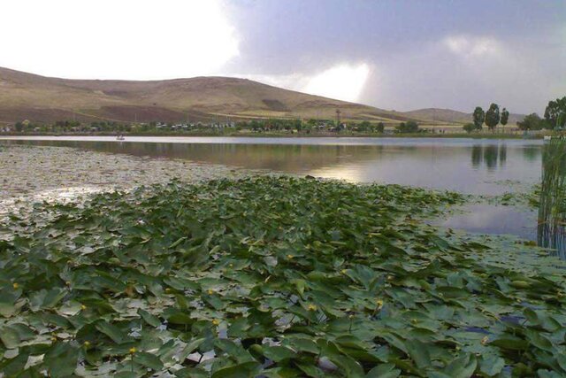 سراب نیلوفر کرمانشاه در یک قدمی خشک شدن