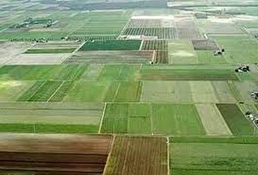 رفع تداخل  ۶۳۶ هزار هکتار از اراضی کشاورزی آذربایجان غربی