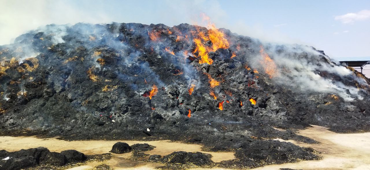 مهار آتش‌سوزی در بزرگترین مجتمع دامداری نیشابور