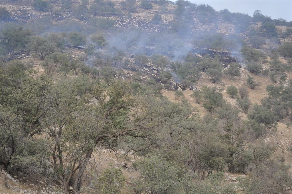 کاهش ۵۳ درصدی آتش سوزی در جنگل‌ها و مراتع کرمانشاه