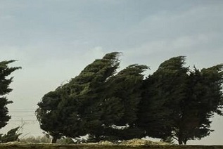 وزش باد‌های شدید در زنجان