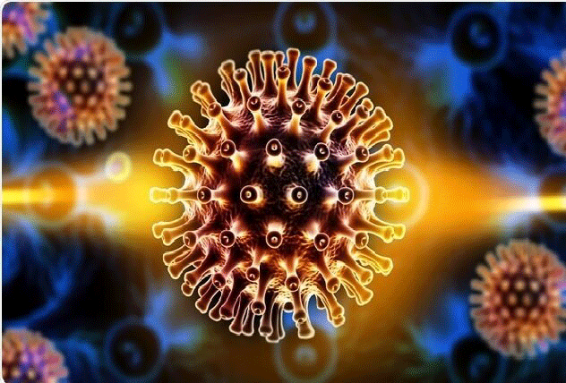 ویروس کرونا به کدام اعضای بدن آسیب جدی وارد می‌کند؟