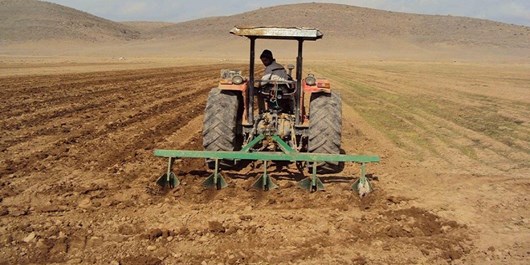 هشدار جهاد کشاورزی فارس در خصوص کشت پاییزه