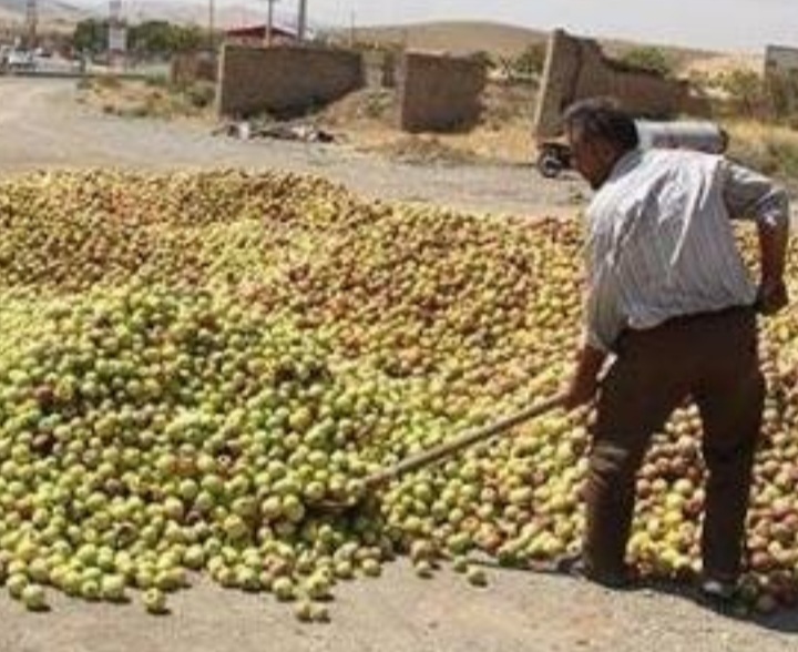 تاکید بر ساماندهی سیب های دپو شده در حاشیه جاده ها