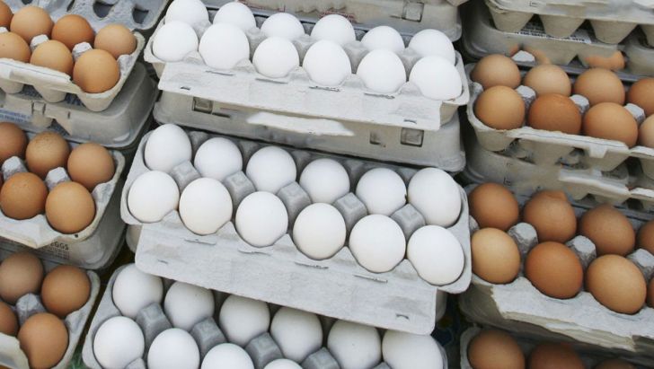جریمه میلیاردی متخلفان عرضه تخم مرغ در سمنان