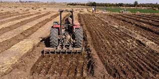 اختصاص ۳۸۰ هزار هکتار از اراضی آذربایجانغربی به کشت گندم پاییزه
