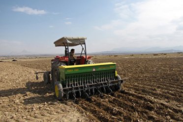 کشت گندم پائیزه در ۳۸۰ هزار هکتار از اراضی آذربایجان غربی