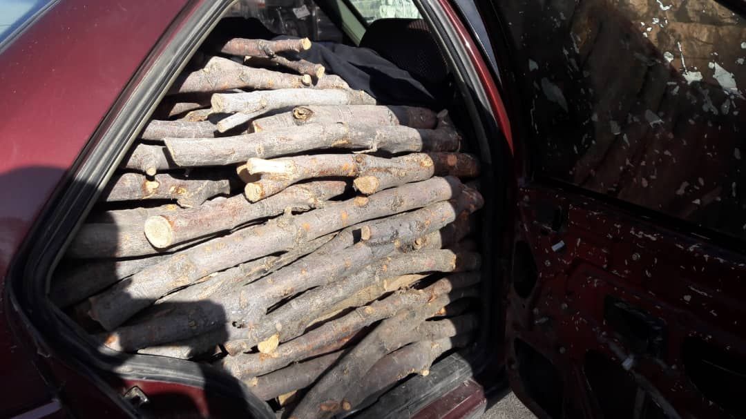 توقیف محموله ۷۲۰ کیلوگرمی چوب قاچاق در لنجان