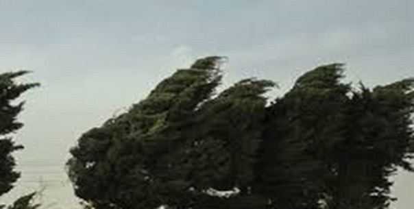 تداوم وزش باد در زنجان
