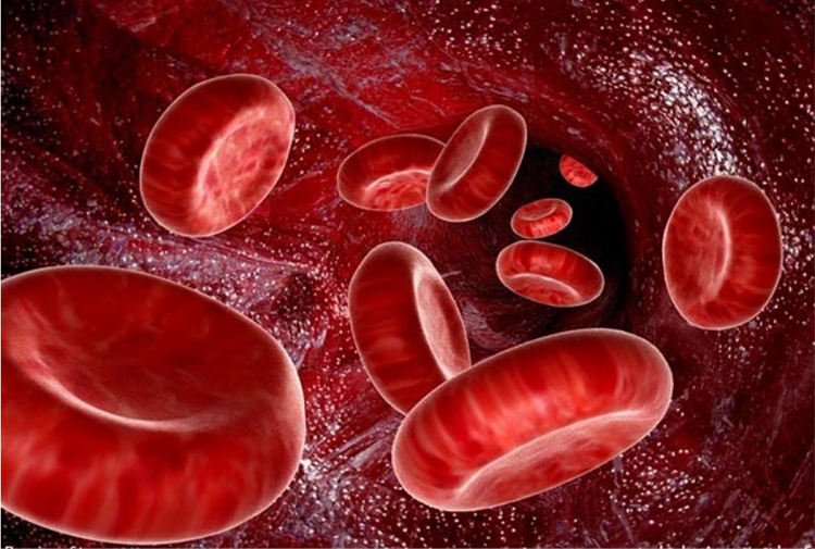 روش های ساده برای درمان کم خونی