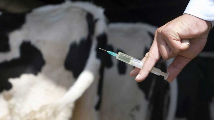 واکسیناسیون دام عشایر و روستاییان لالی