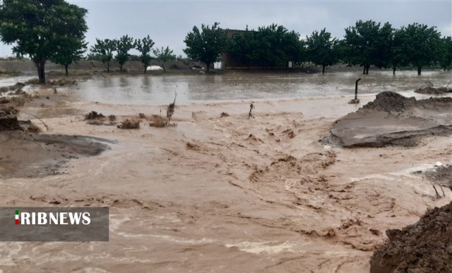 تعطیلی 3 مدرسه در فردوس بر اثر سیلاب