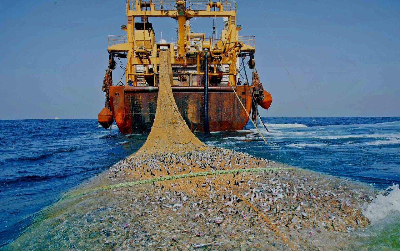شناور‌های صید ترال به نفع سازمان کاشف ضبط می‌شود