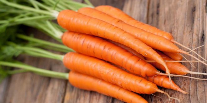 قیمت هویج سر به زیرتر می شود؟