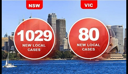 افزایش تعداد مبتلایان به کرونا در سیدنی