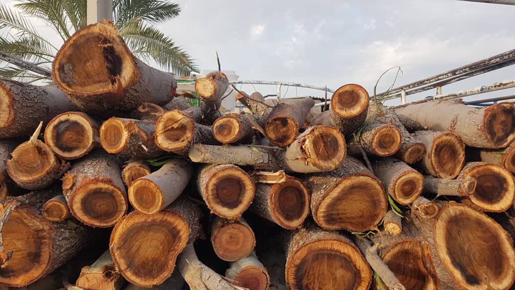 کشف محموله چوب جنگلی قاچاق در مریوان