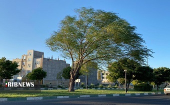 وزش باد شدید در زنجان