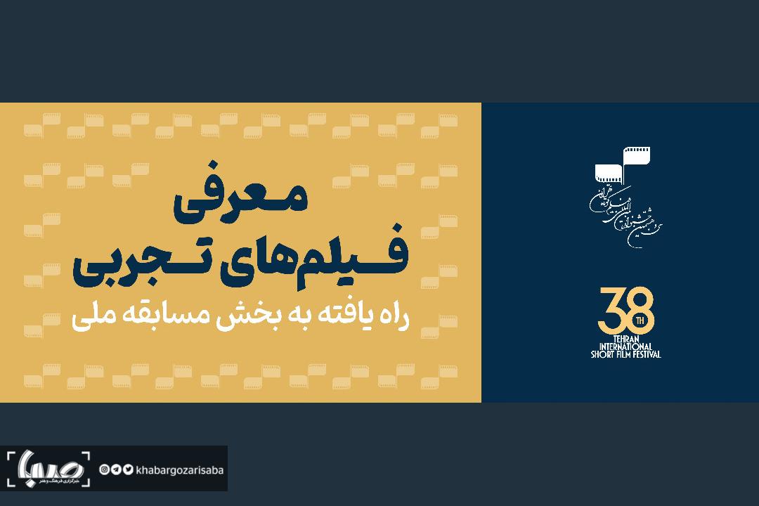 معرفی فیلم های تجربی جشنواره فیلم کوتاه تهران