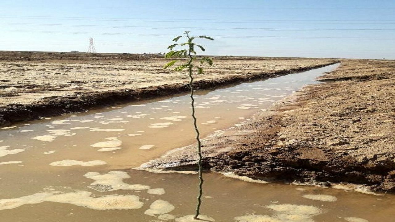 آبیاری سنواتی ۵۲۰ هکتار جنگل دست کاشت در کاشمر