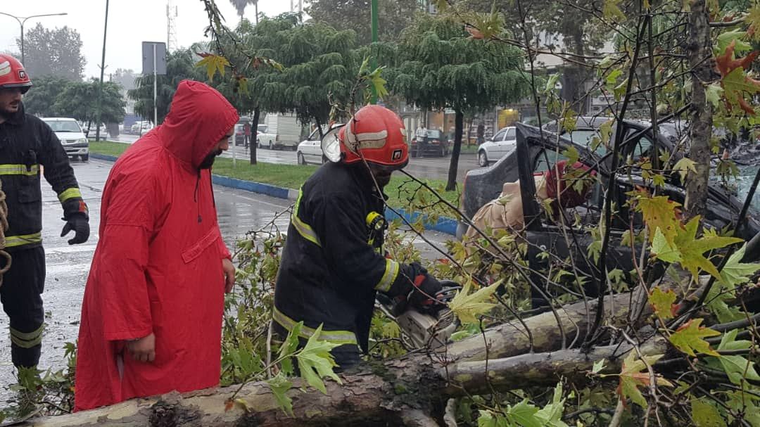مصدومیت سرنشین یک خودرو بر اثرسقوط درخت در رشت